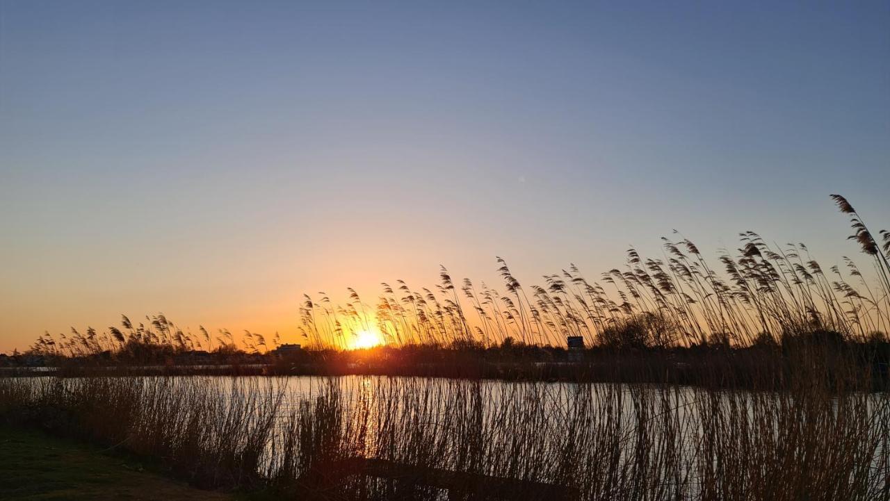 Verborgen Parel Aan De Rotte Rotterdam Eksteriør billede